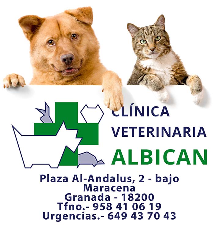 Clínica Veterinaria Albican - Maracena